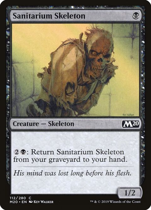 112-sanitariumskeleton