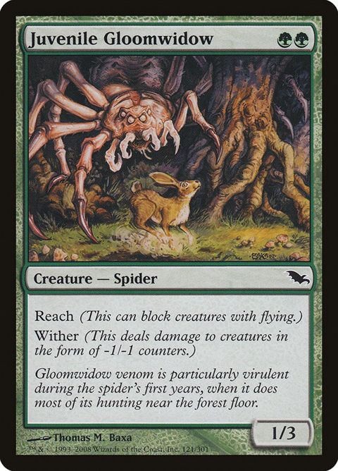 121-juvenilegloomwidow