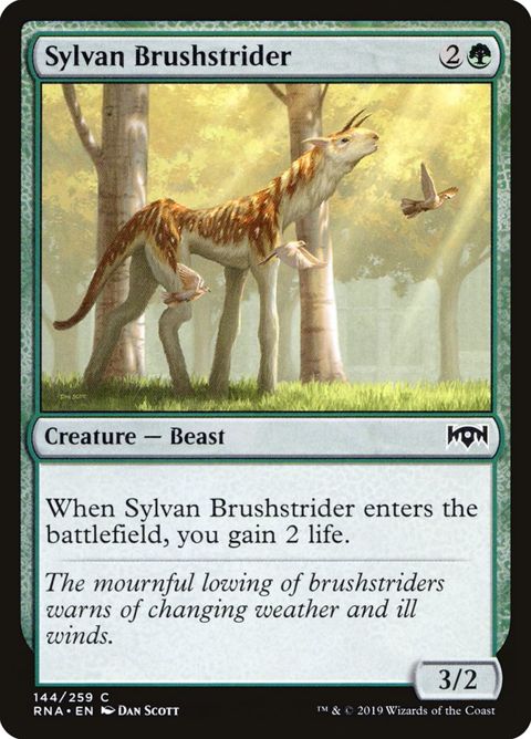 144-sylvanbrushstrider