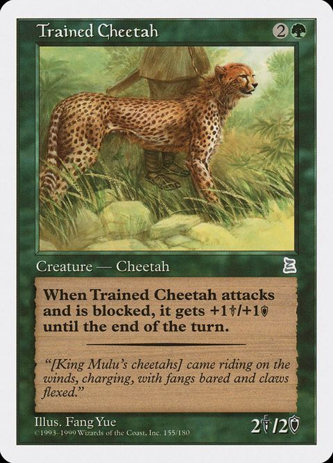154-trainedcheetah