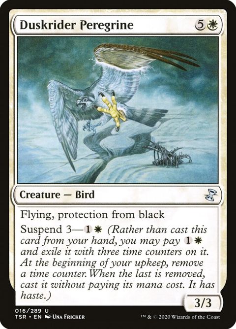 16-duskriderperegrine