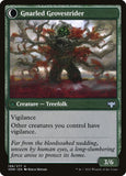 198-dormantgrovegnarledgrovestrider