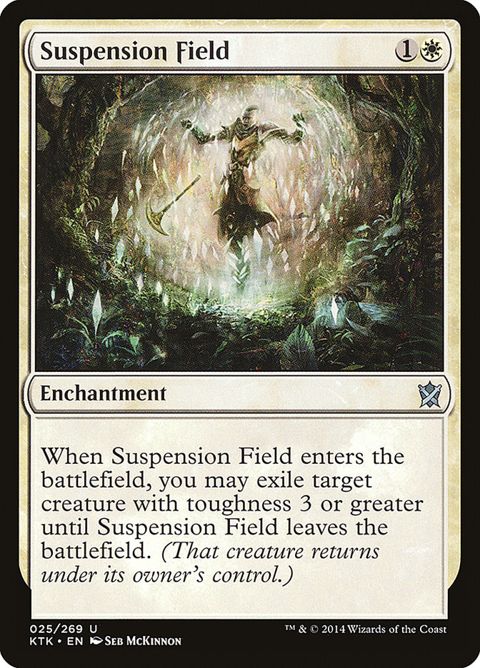 25-suspensionfield