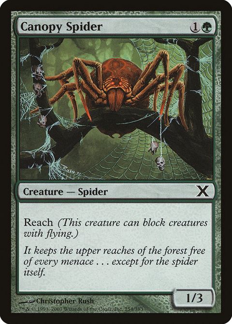 254-canopyspider
