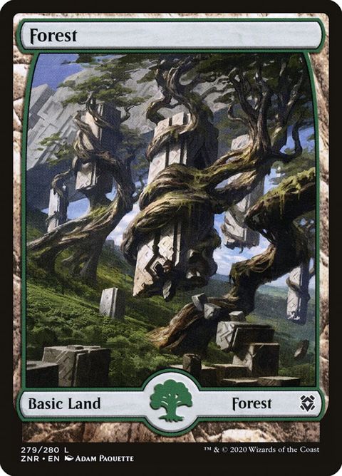 279-forest