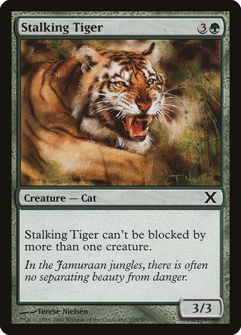 299-stalkingtiger