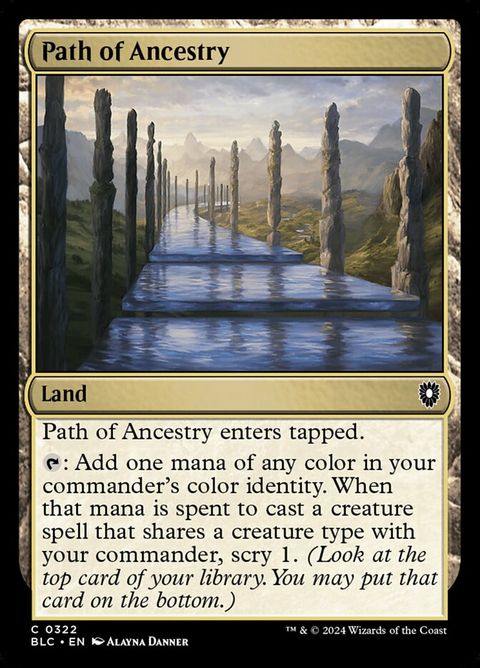 322-pathofancestry