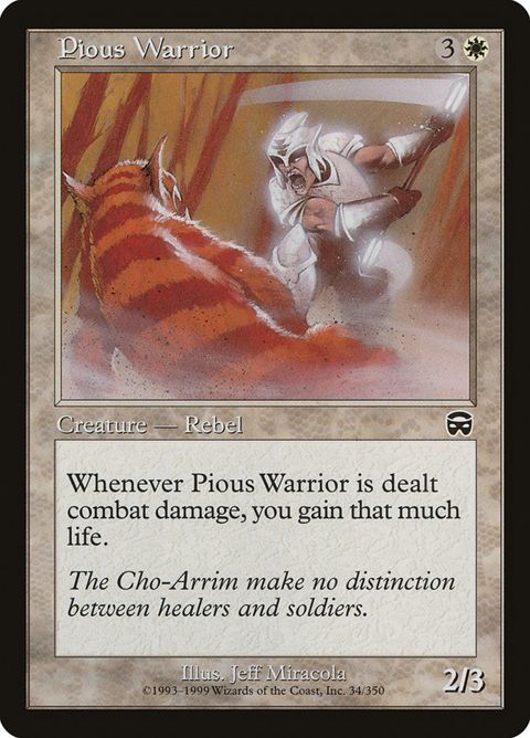 34-piouswarrior