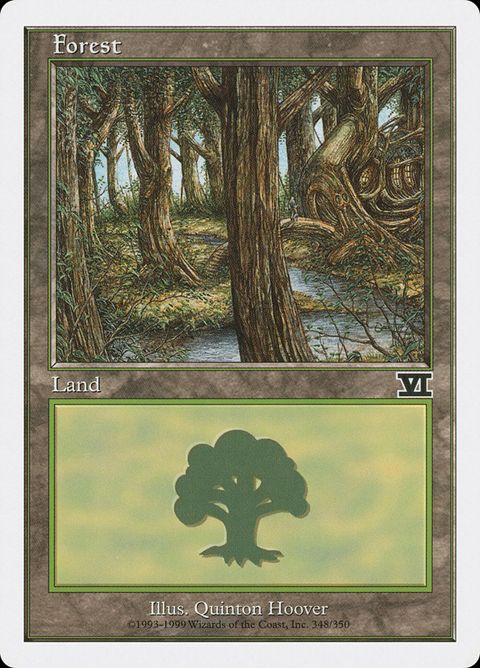 348-forest