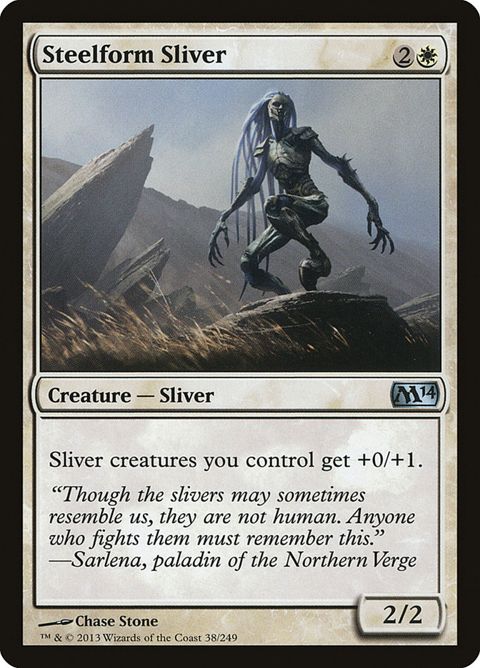 38-steelformsliver