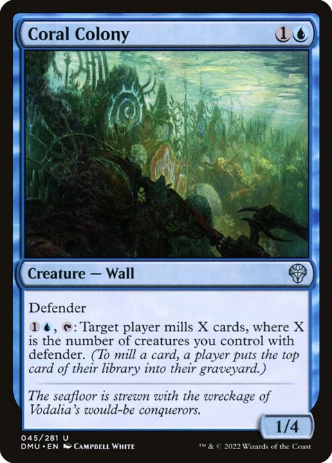 45-coralcolony