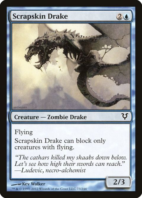 73-scrapskindrake