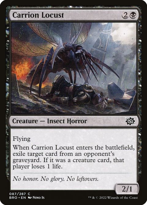 87-carrionlocust