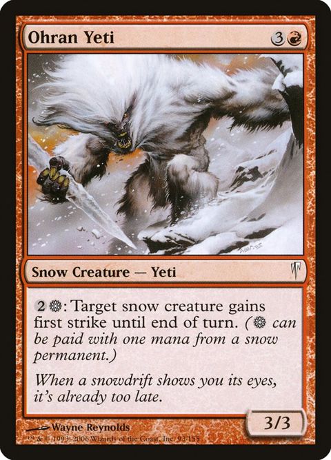 93-ohranyeti