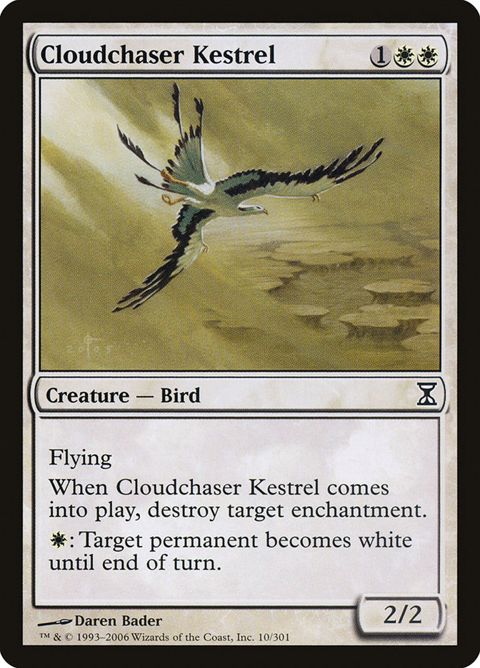10-cloudchaserkestrel