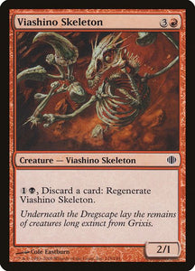 118-viashinoskeleton