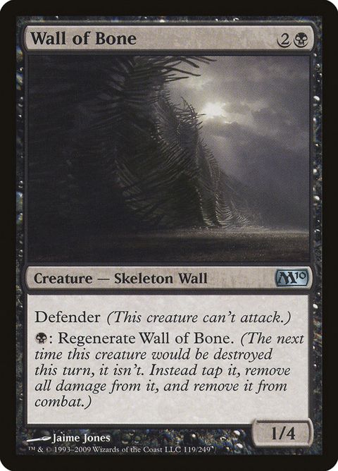 119-wallofbone