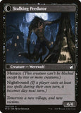 120-shadytravelerstalkingpredator