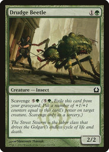 122-drudgebeetle
