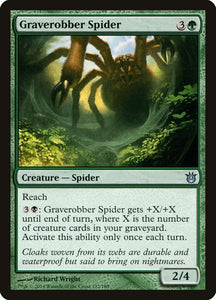 122-graverobberspider