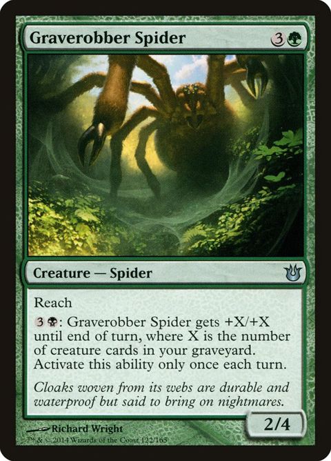 122-graverobberspider