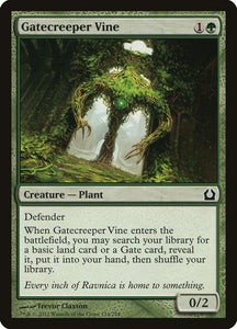 124-gatecreepervine