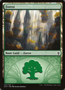 127-forest