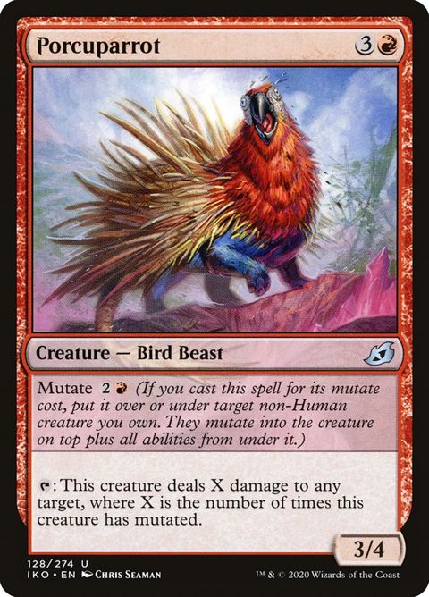 128-porcuparrot