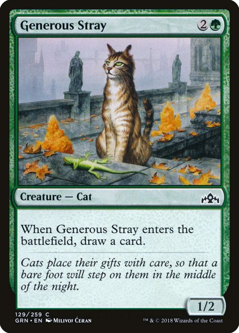 129-generousstray