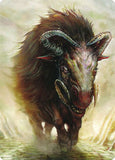 13-beastbeast