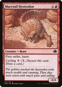 130-macetailhystrodon