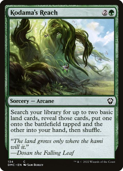 134-kodamasreach