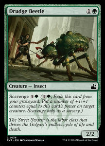136-drudgebeetle