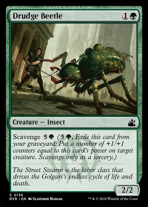 136-drudgebeetle