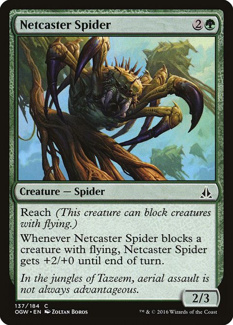 137-netcasterspider