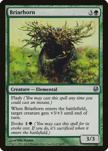 14-briarhorn