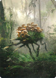 14-saprolingsaproling