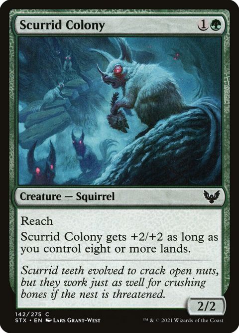 142-scurridcolony