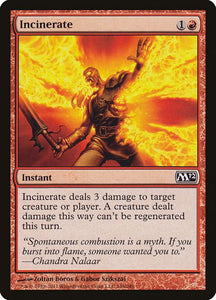 146-incinerate
