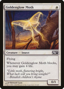 15-goldenglowmoth