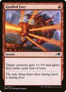 151-kindledfury