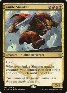 164-ankleshanker