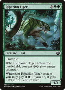 167-ripariantiger