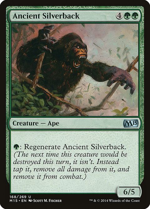 168-ancientsilverback