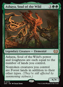 170-ashayasoulofthewild