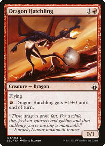 173-dragonhatchling