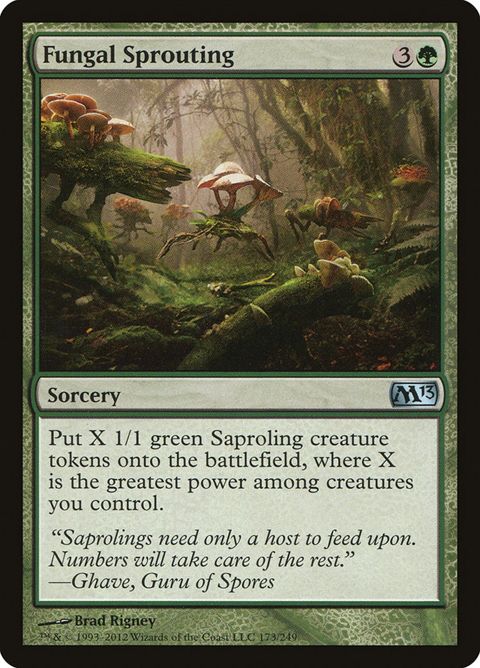 173-fungalsprouting