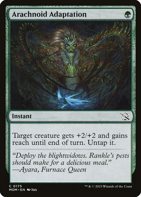 175-arachnoidadaptation