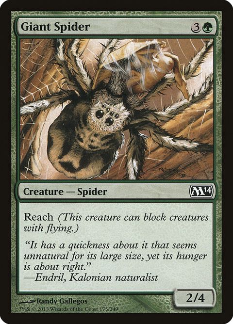 175-giantspider