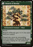 177-boseijureachesskywardbranchofboseiju